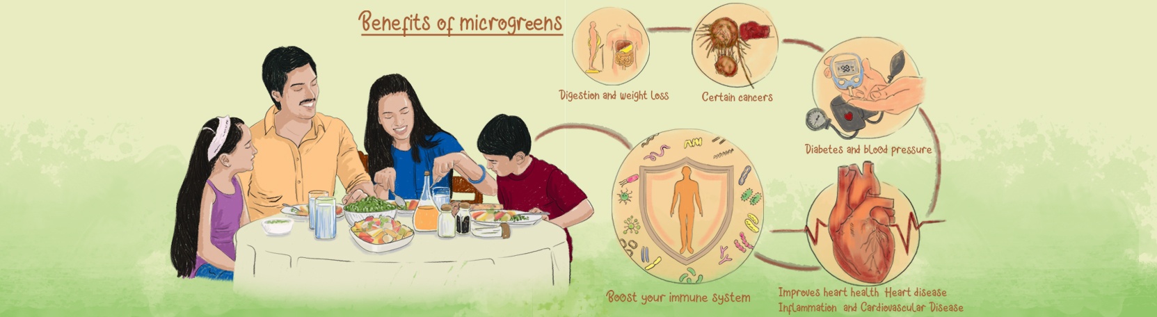 Benefits of microgreens