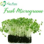 Fresh Microgreens