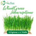 Wheatgrass Subscriptions