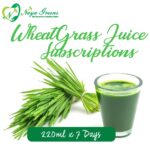 Wheatgrass Juice Subscriptions