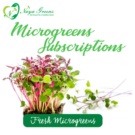 Microgreens Subscription - Every Day / Alt Days / Customised Days Delivery