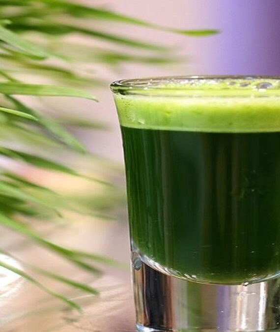WheatGrass Juice (Raw Pressed) Shot