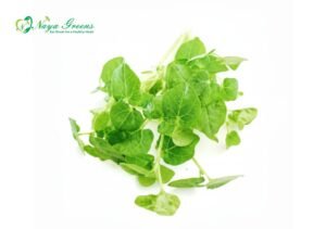 Horsegram Microgreens – Fresh Cut