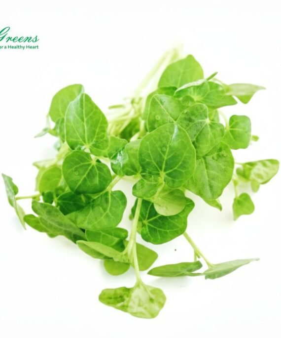 Horsegram Microgreens – Fresh Cut