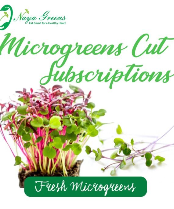Fresh Microgreens cut and Live