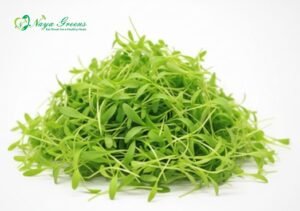 Amaranthus Green Microgreens – Fresh Cut