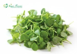 Basil Green Microgreens – Fresh Cut