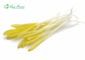 Corn Shoots Microgreens – Fresh Cut