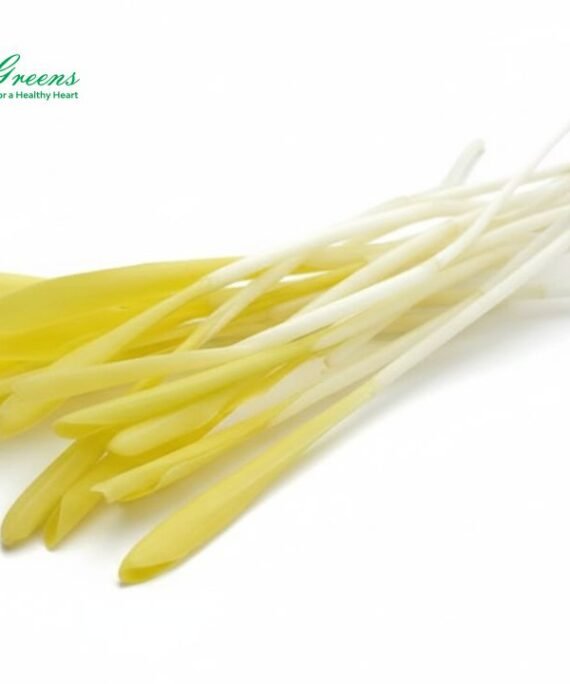 Corn Shoots Microgreens – Fresh Cut