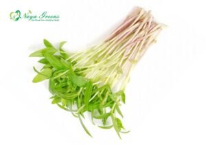 Moong Microgreens – Fresh Cut