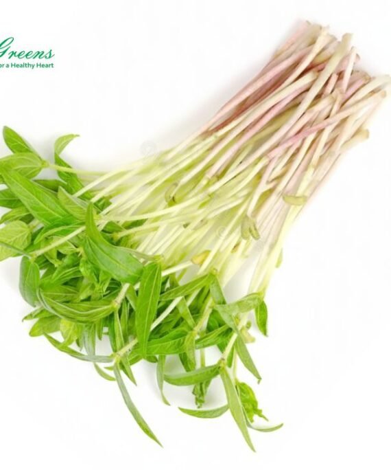 Moong Microgreens – Fresh Cut