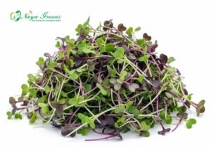 Mix Microgreens – Fresh Cut