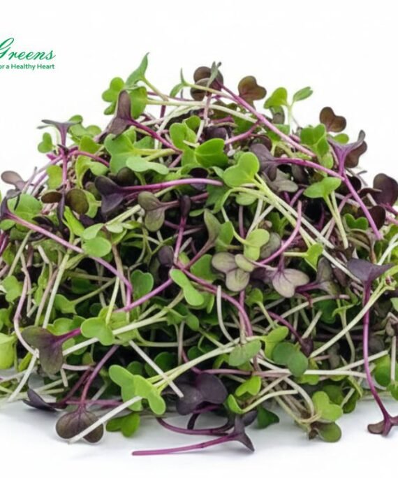 Mix Microgreens – Fresh Cut