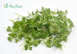 Pak Choi Microgreens – Fresh Cut