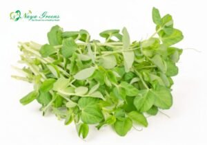 Pea Shoots Microgreens – Fresh Cut